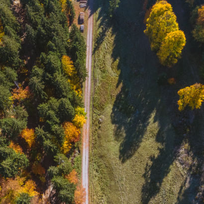 Ariel image of forest and B Corp logo