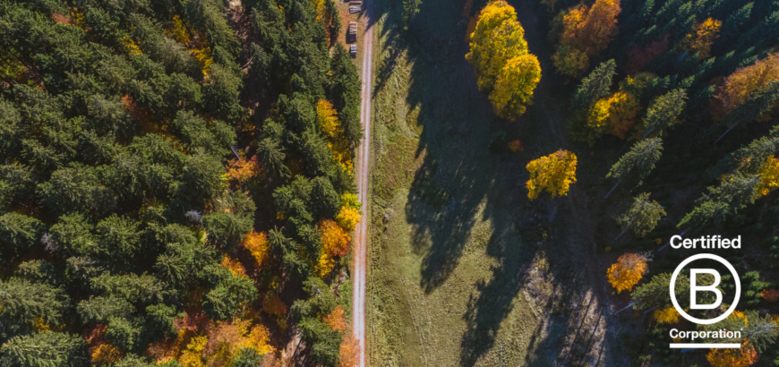 Ariel image of forest and B Corp logo